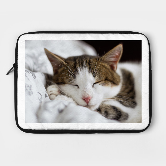 Cat Sleeping With A Blanket Cat Laptop Case Teepublic