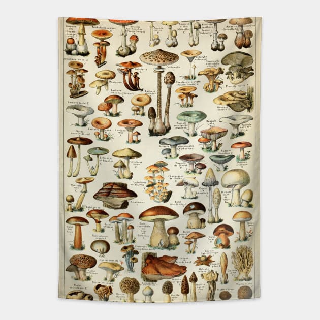 Champignon I Vintage French Mushroom Chart Tapestry by visionarysea