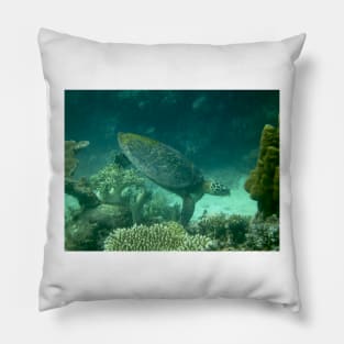 Turtle Pillow