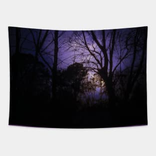 Lighting in the trees Tapestry