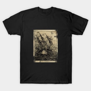 lithograph shirts
