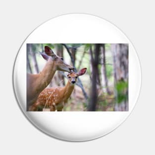 Aw Mom!…my fur's fine - White-tailed deer Pin