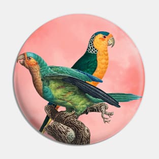 The Birds and the pink sky II Pin