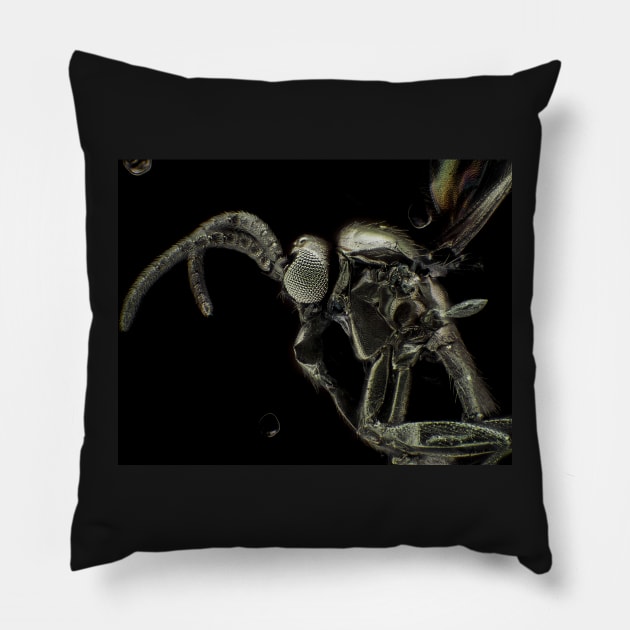 Gold-coated fungus gnat under light microscope Pillow by SDym Photography