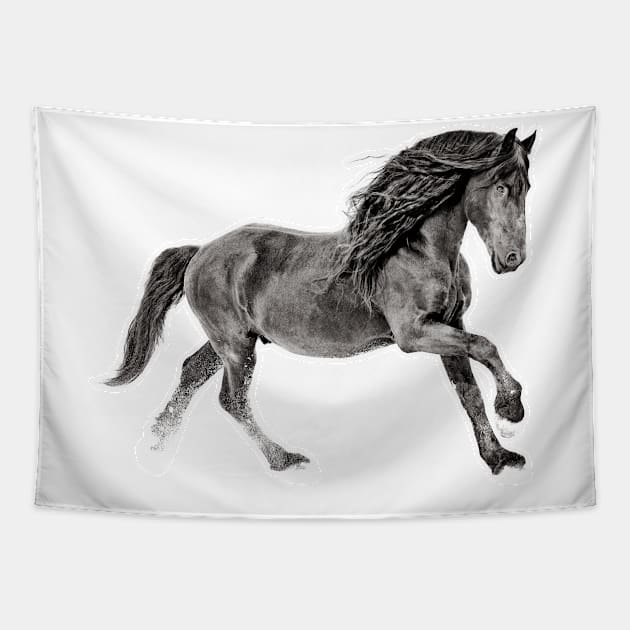 Black and White Friesian Stallion Tapestry by Ory Photography Designs