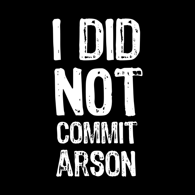 I did not commit arson by Yasna