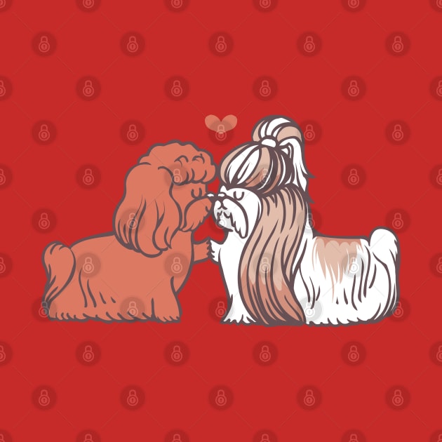 Shih Tzu Kisses by huebucket