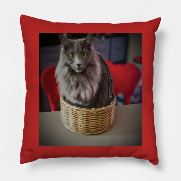 Grey green eyed cat in a basket Pillow by PandLCreations