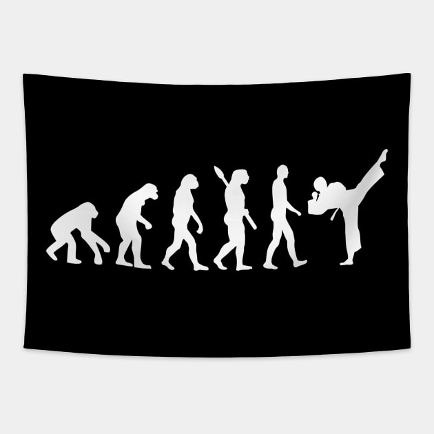 Evolution Karate Tapestry by Designzz