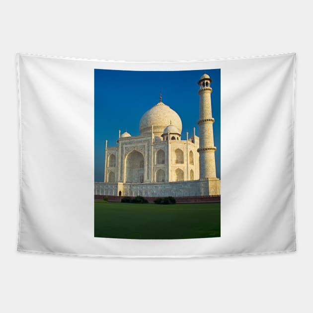 Taj Mahal in Early Morning Light Tapestry by BrianPShaw