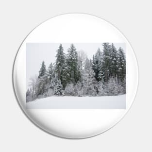 The Majestic Snow Covered Trees Pin