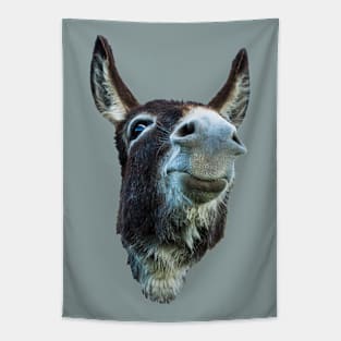 Donkey With Attitude Tapestry