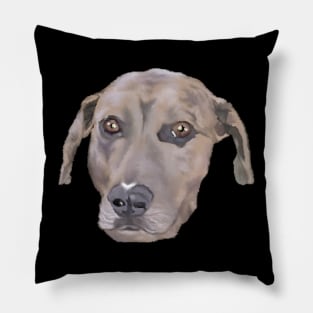 Catahoula Pillow