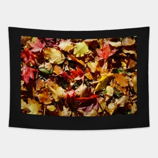 Colorful Fallen Autumn Leaves 2 - Seasons - Nature Abstract Tapestry