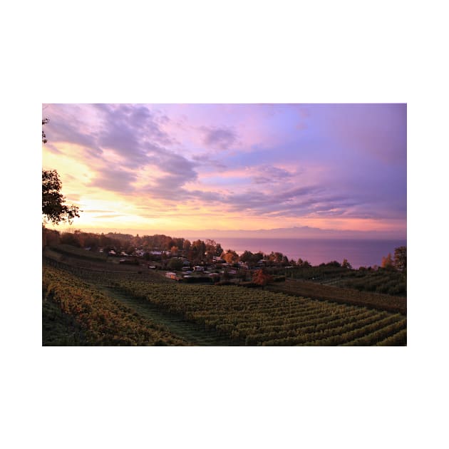 Surise over a Camp Site near Hagnau - Lake Constance by holgermader