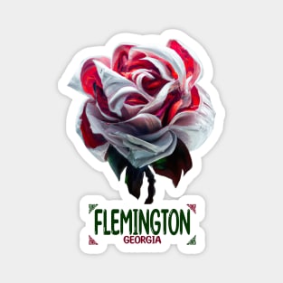 Flemington Georgia Magnet