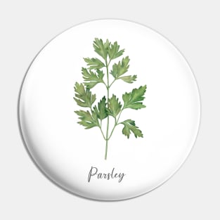 Parsley herb illustration. Pin