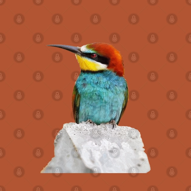 Brightly Colored European Bee Eater Vector Art by taiche