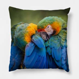 World Parrot Day Pillow