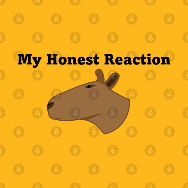 My honest reaction by foolorm