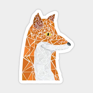 Geometric Fox Magnet