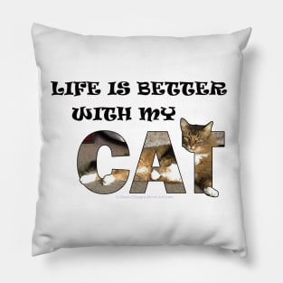 Life is better with my cat - Somali abyssianian cat long hair cross oil painting word art Pillow