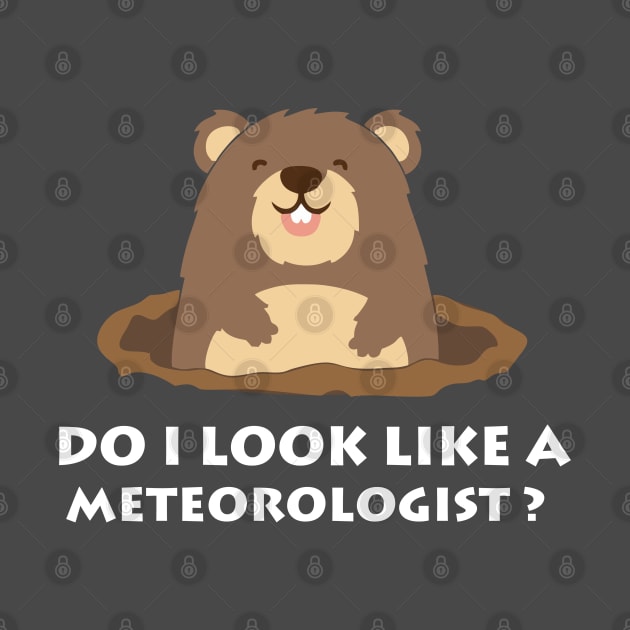 Do I Look Like A Meteorologist? Groundhog Day Funny by amitsurti