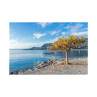 Lake Garda autumn tree T-Shirt