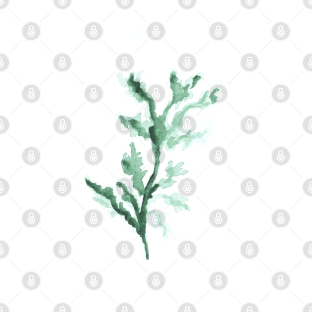 Watercolor green branch, plant, summer and nature, art decoration, sketch. Illustration hand drawn modern by grafinya