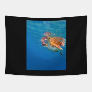 Green Turtle With Surface Reflections Tapestry