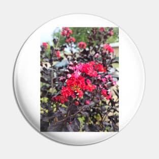 Crepe Myrtle Pin