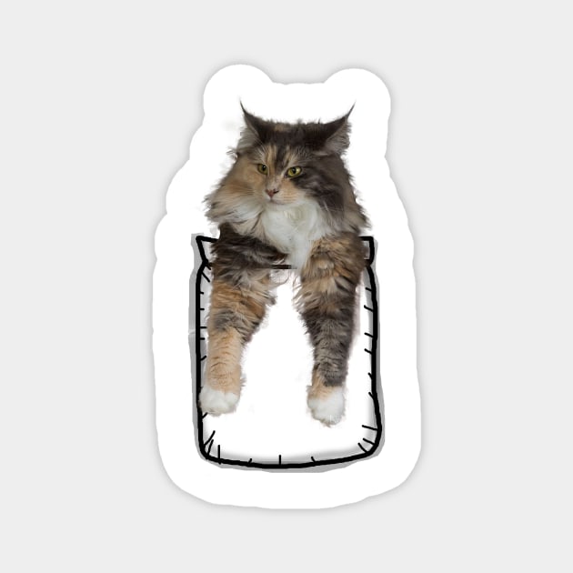 cat in pocket Magnet by mohamedayman1