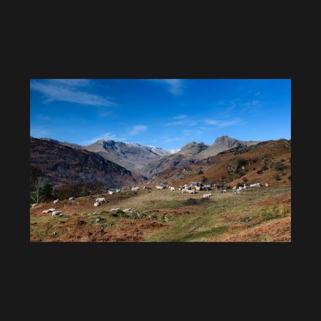 Langdales Pastures by jldunbar