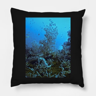 SUPER SEAHORSE PLAYGROUND Pillow