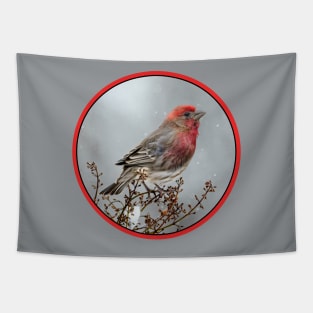 House Finch in Snow Photograph Tapestry