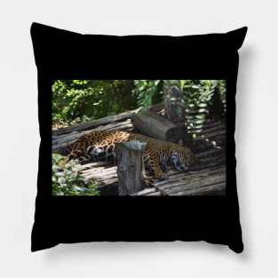 Jaguar Pillow