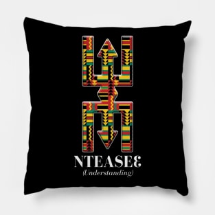 Nteasee (Understanding) Pillow