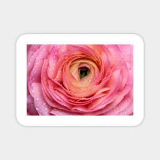 Pink flower Magnet