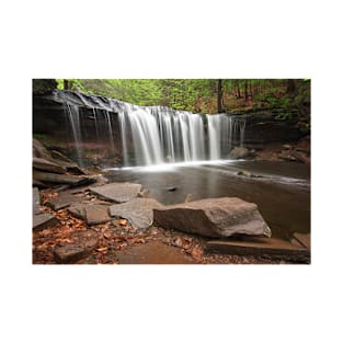 Waterfall in the Woods T-Shirt