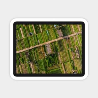 Vegetable village aerial view in Hoi An, Vietnam Magnet