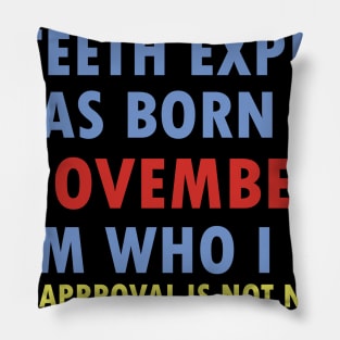 A Teeth Expert Was Born In NOVEMBER Pillow