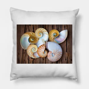 Six Chambered Nautilus Pillow