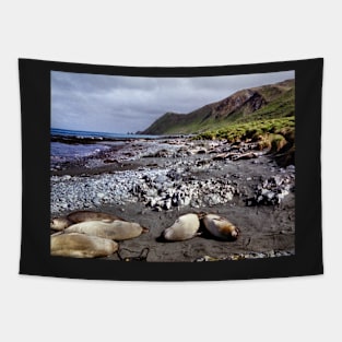 Southern Elephant Seals, Macquarie Island Tapestry