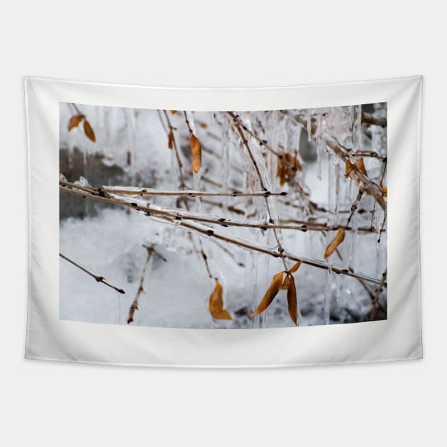 Ice Melts Tapestry by gdb2