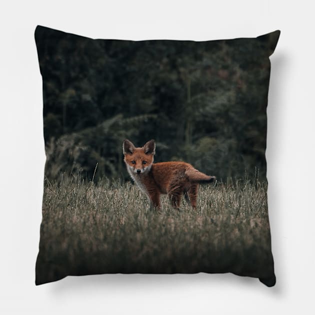 Red fox Pillow by withluke