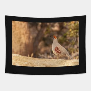 Gamble Quail Tapestry