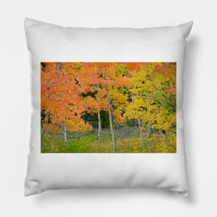 Colorado Aspens Bejeweled Pillow