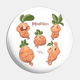 Mandrakes Pin