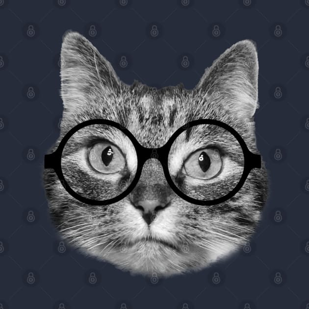 Cute nerdy cat wearing big round glasses by Purrfect