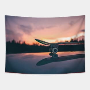 Skateboard Tapestry